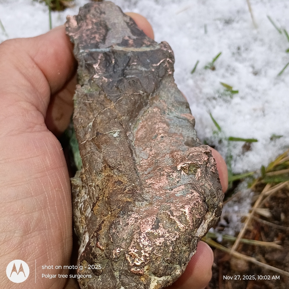 Upper Peninsula Michigan Native Copper Collectors Specimen